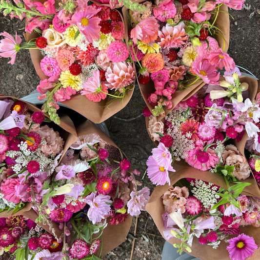 Summer Annuals CSA Bouquets