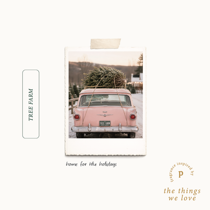 Poured Goods - Tree Farm Candle | Pine + Amber