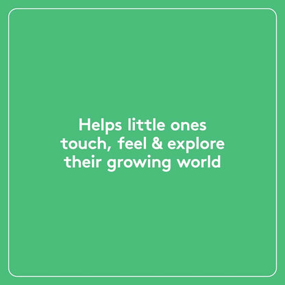 Chronicle Books - Little Fir Tree: Finger Puppet Book