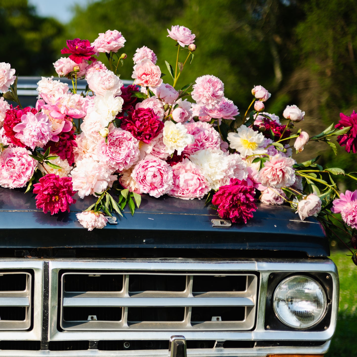 CSA Peony Flower Share
