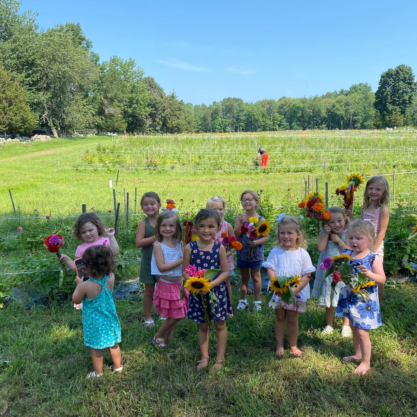 Kids Day at Cross Street Dahlia Festival
