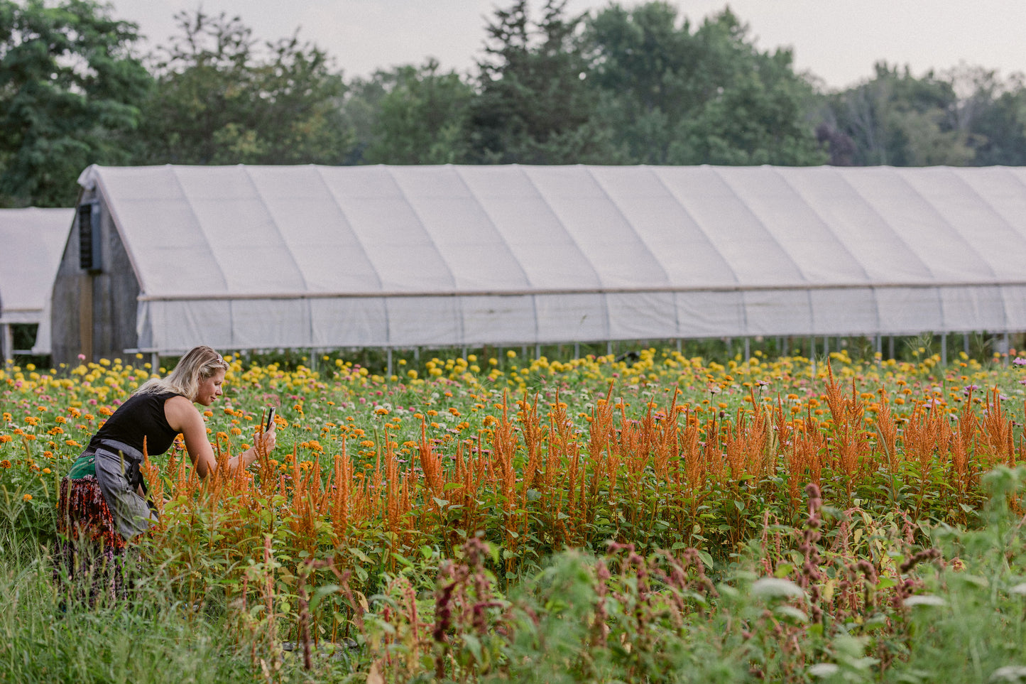 Floral Design Workshop Series