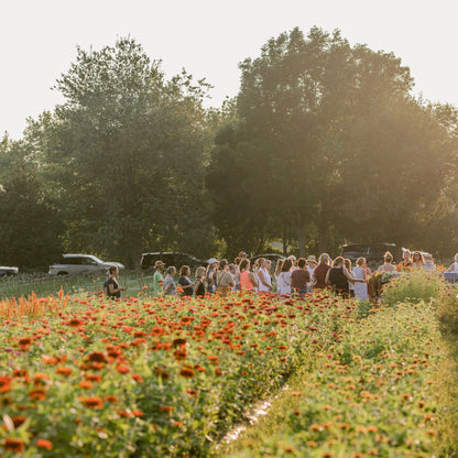 Floral Design Workshop Series