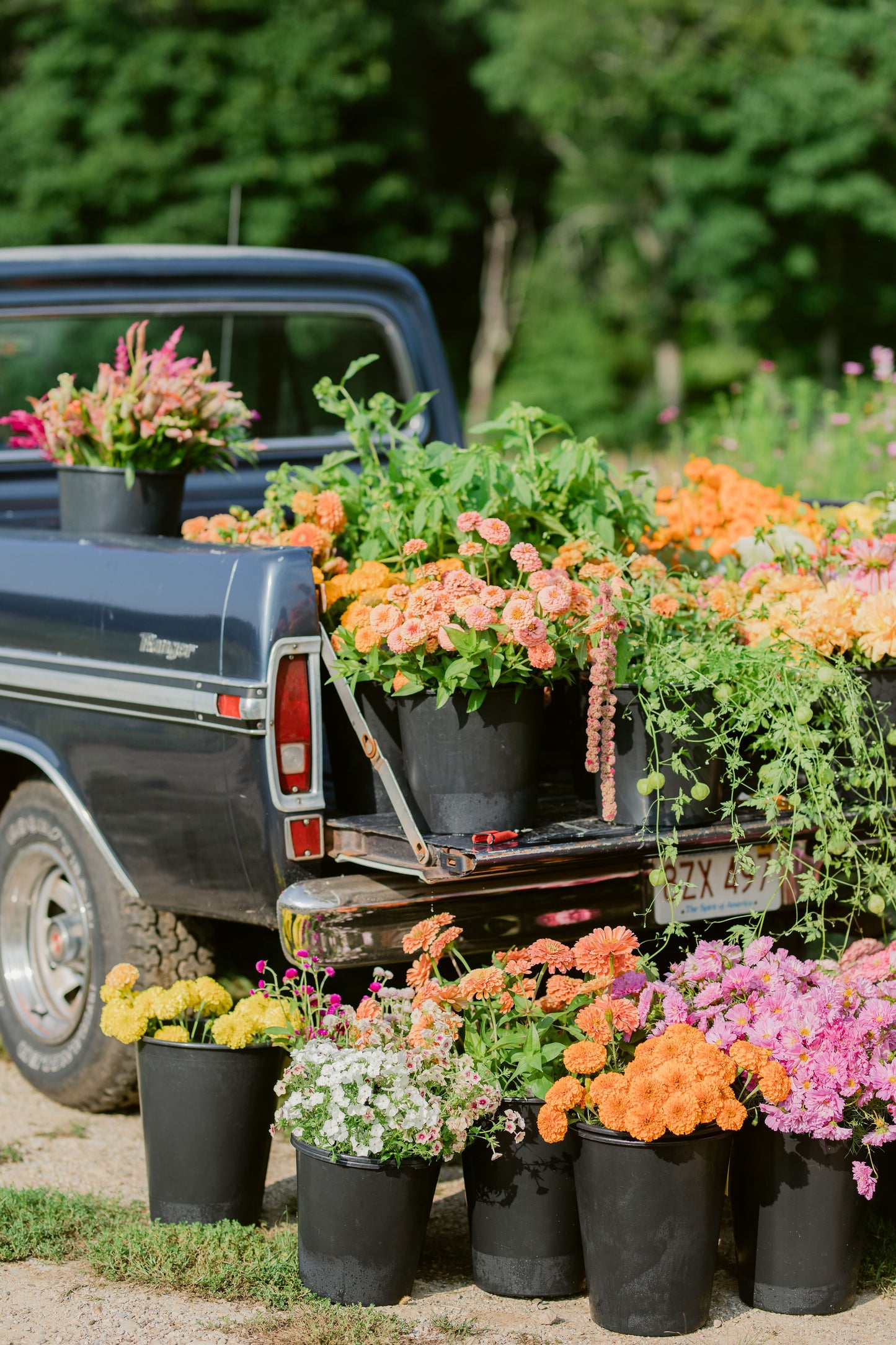 Floral Design Workshop Series