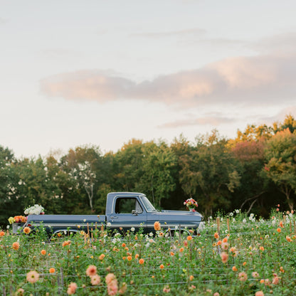 Coming Soon: Petals & Pours: September Edition — 300 Years of Jacob's Farm