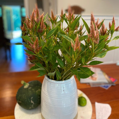 Celosia Bunch