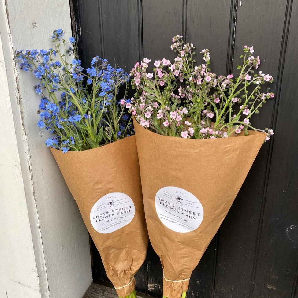 Forget-Me-Not Bunch