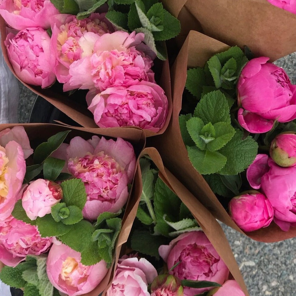 Peony Bunch