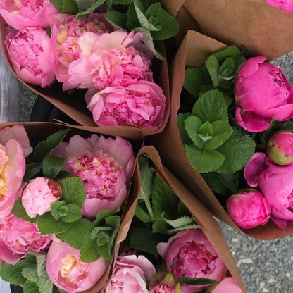 Peony Bunch