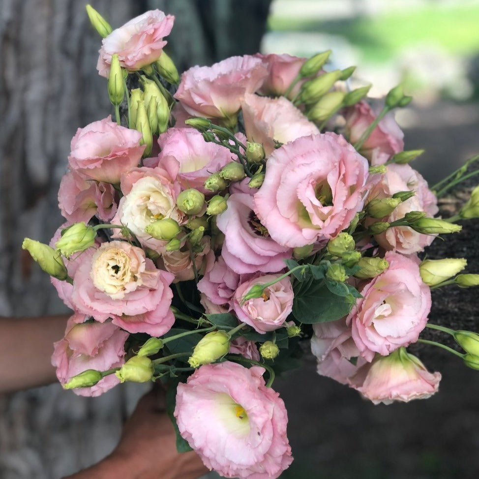 Lisianthus Bouquet