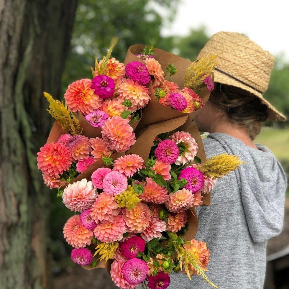 Farmer's Choice Mix Dahlia