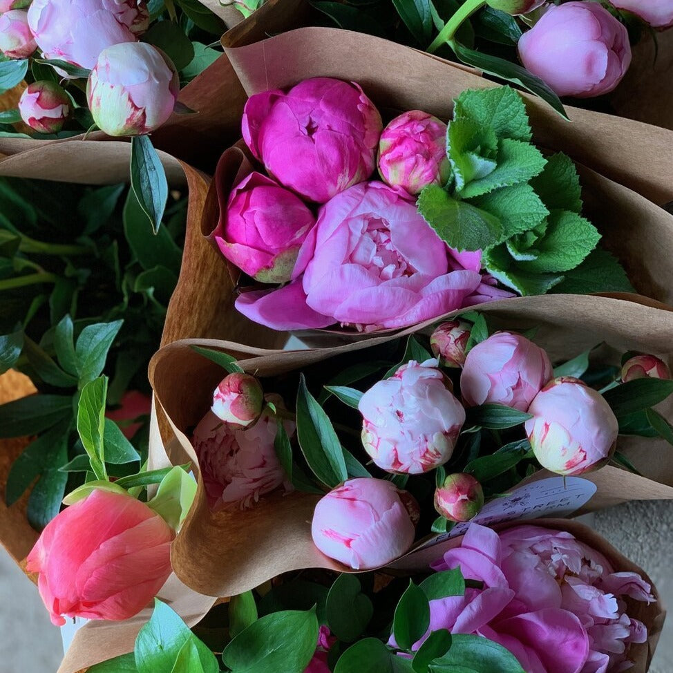 Peony Bunch