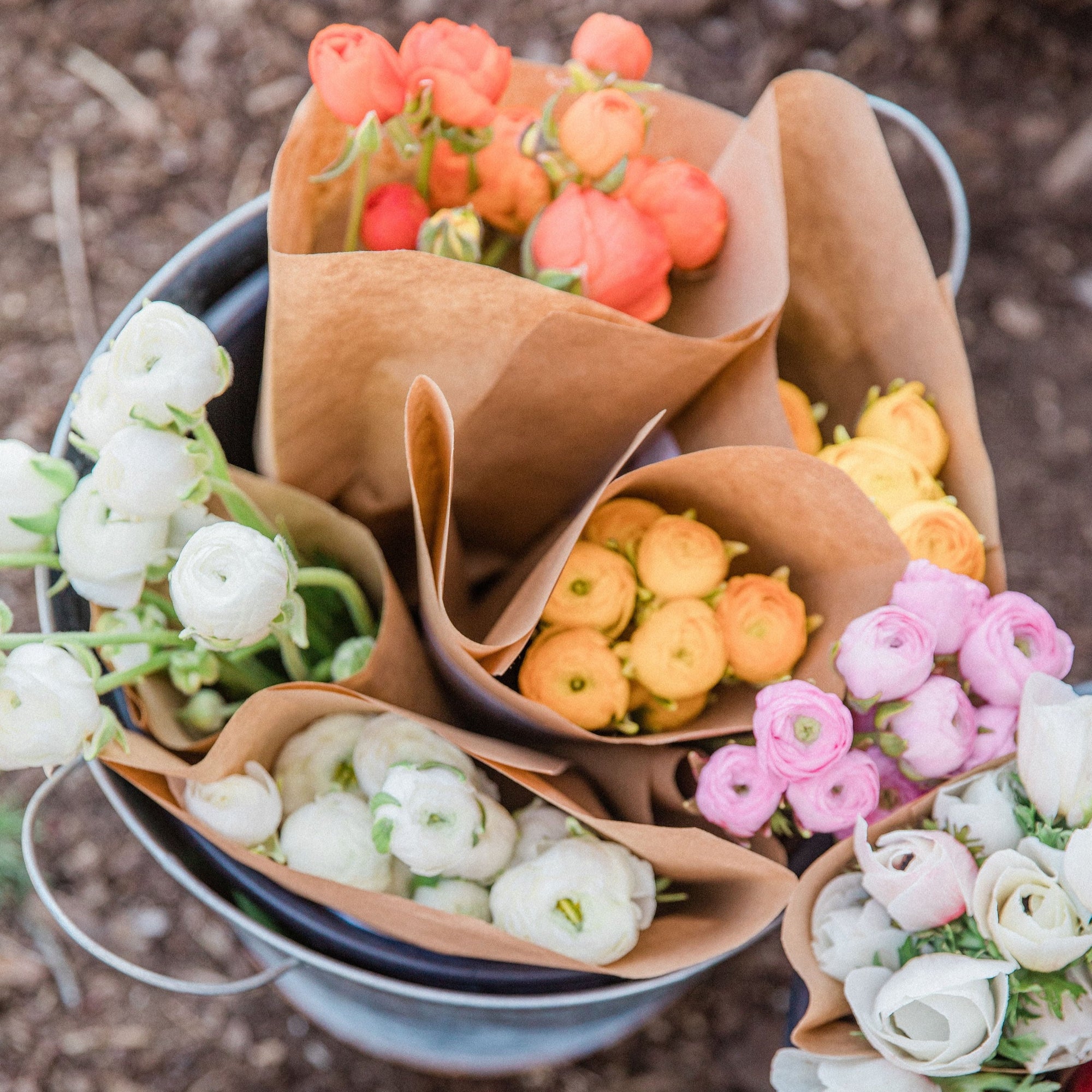 CSA May Flower Share