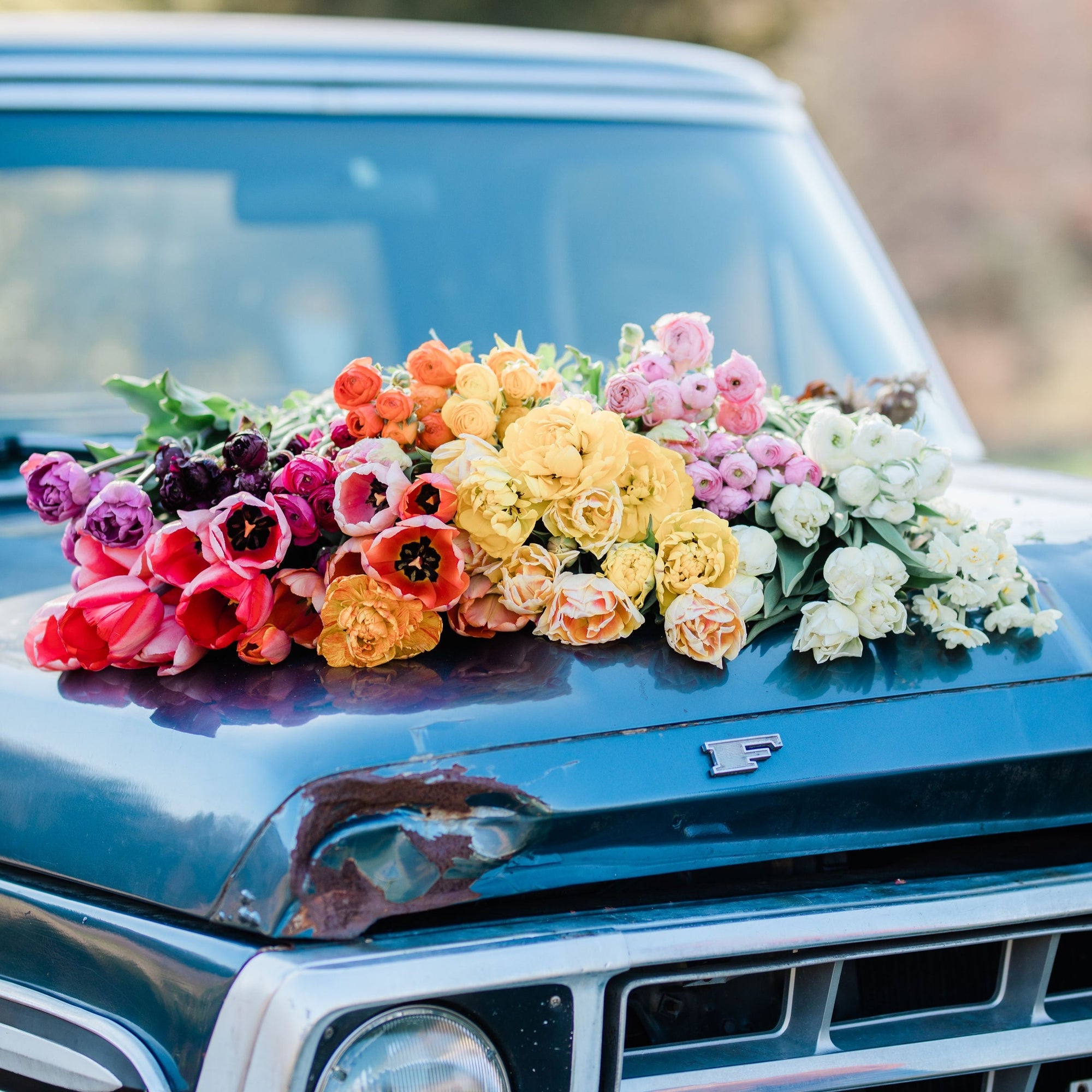 CSA April Flower Share