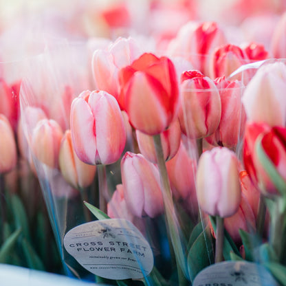 Fancy Tulip Bunch